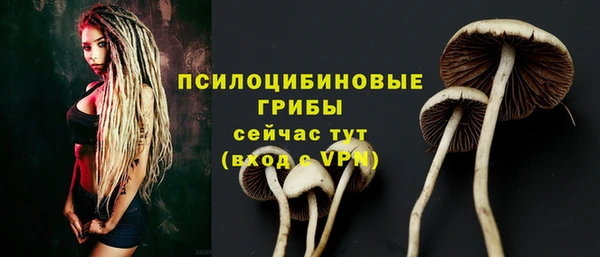 амф Балахна