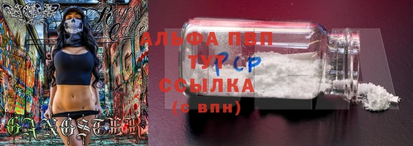 амф Балахна
