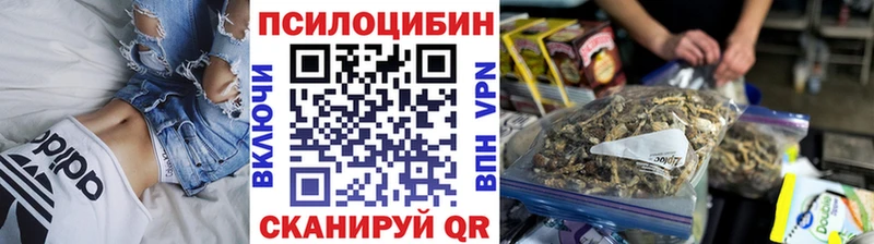 дарнет шоп  Ивангород  Галлюциногенные грибы Psilocybine cubensis 